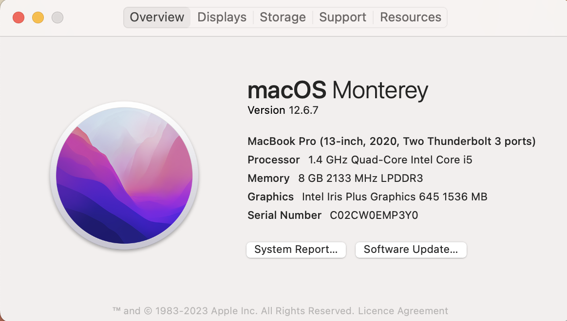Image showing system information for a mac